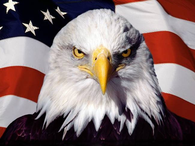 aigle américain drapeau