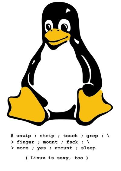 linux sexy