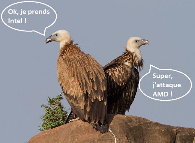 vautour attaque amd intel