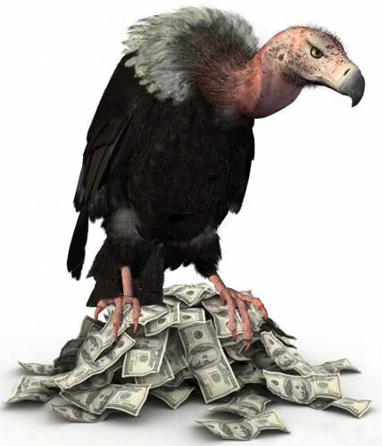 vautur stash argent