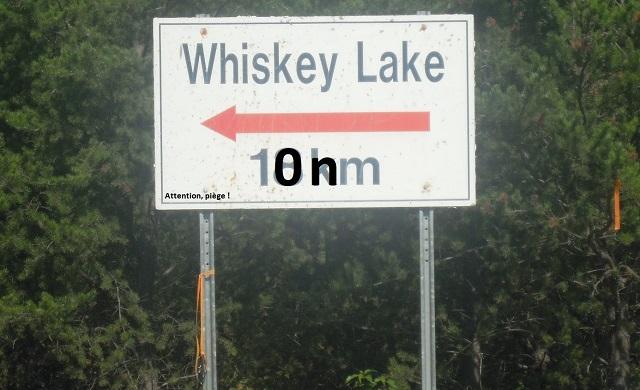 whiskey lake panneau 10nm