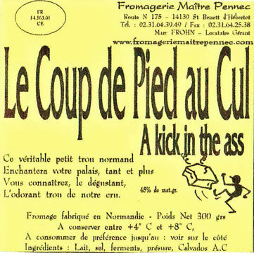 le_coup_de_pied_au_cul.jpg