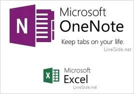 microsoft_office_2013.onenote_excel.jpeg