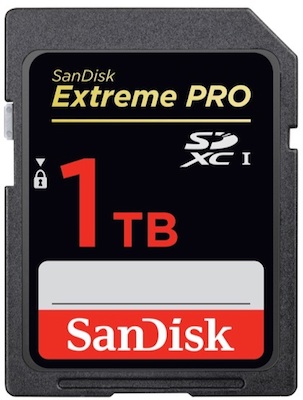 sandisk sd card 1to