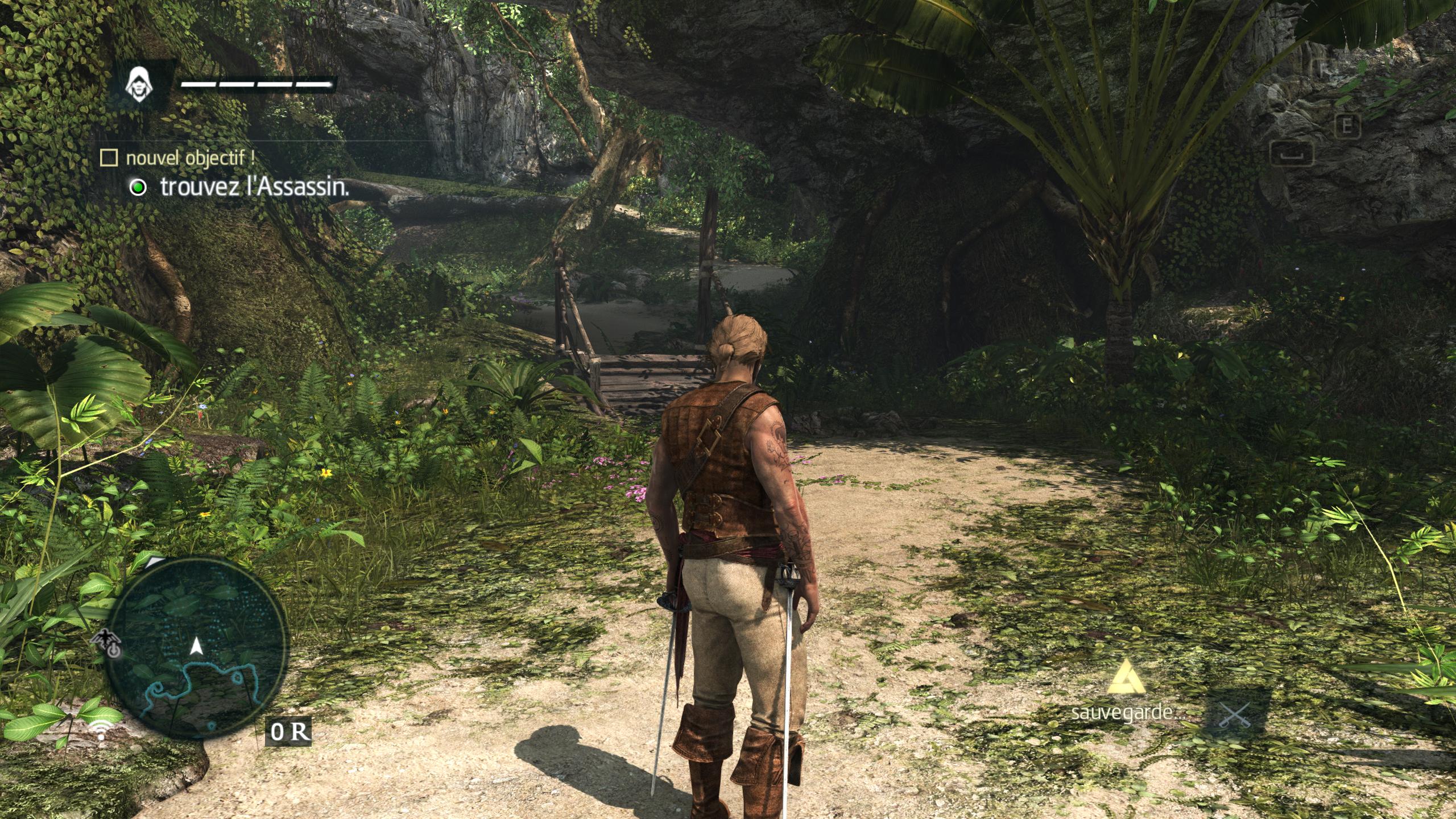 screen Assassins Creed IV
