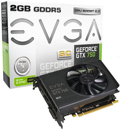 EVGA GTX 750 SC 2Go