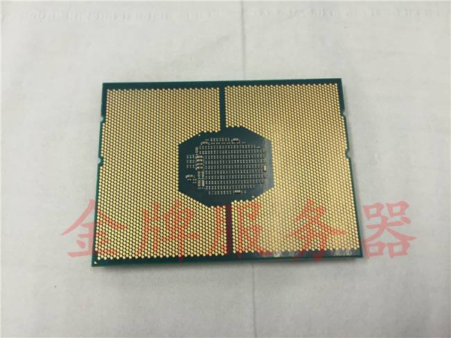 intel-xeon-skylake-e5-2699-v5-dos-watermark