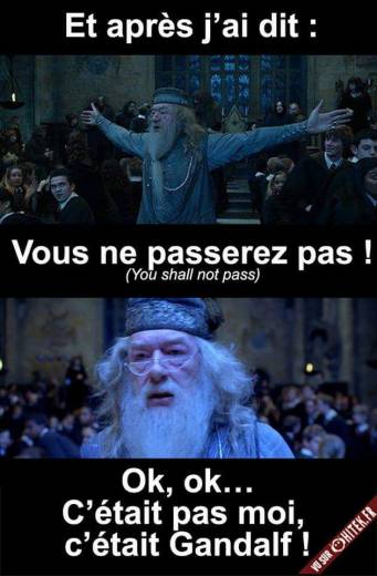 gandalf dumbledore