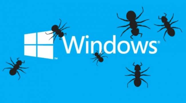 windows 10 bugs insectes logo