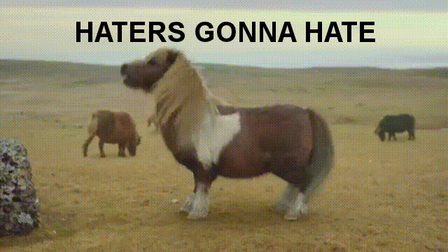 haters gonna hate2