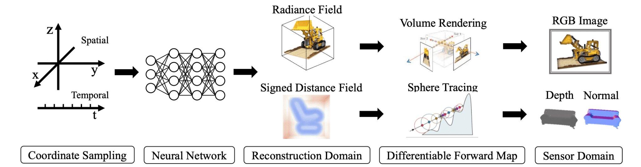 neural field