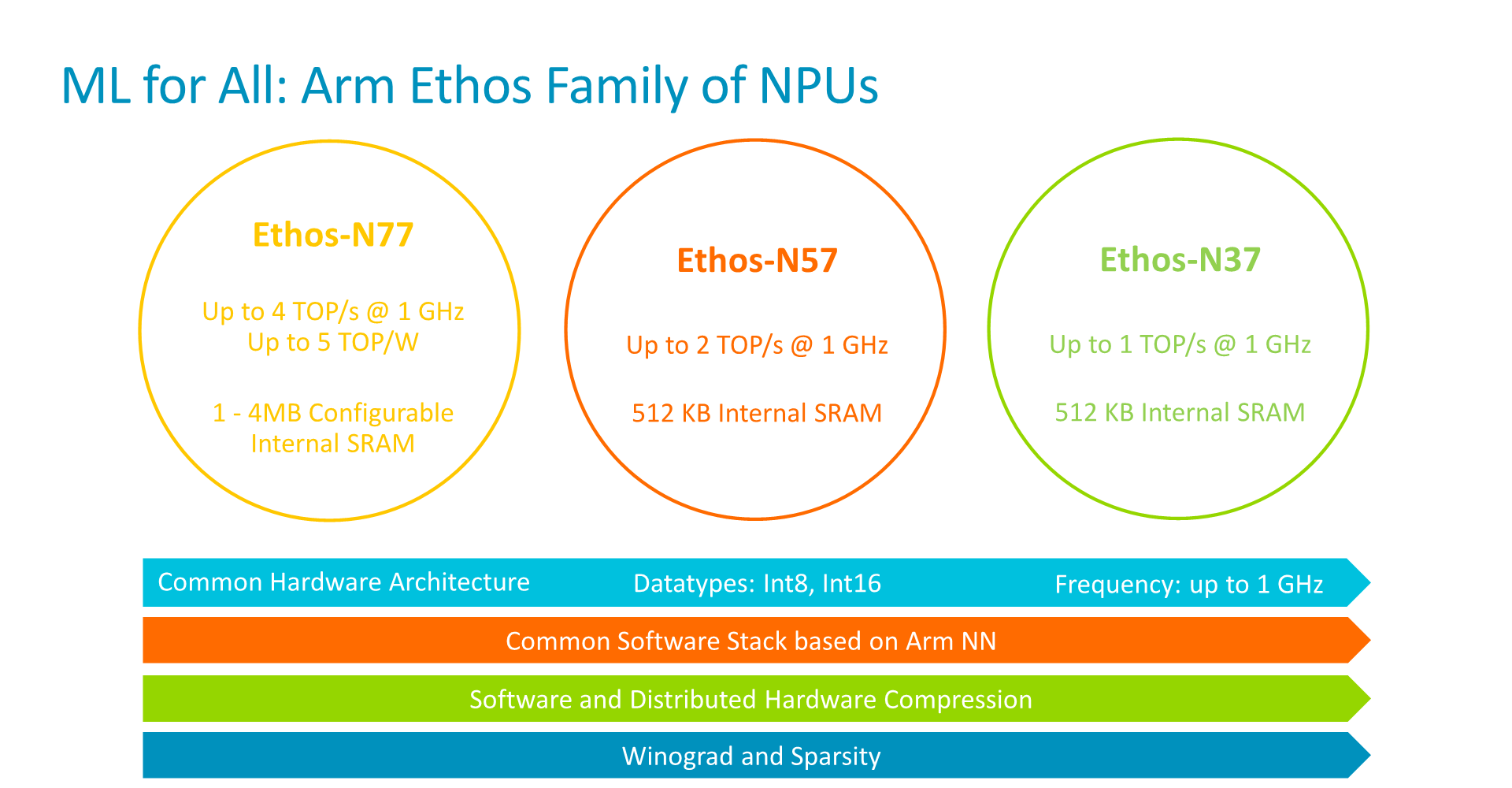 La famille Ethos chez ARM