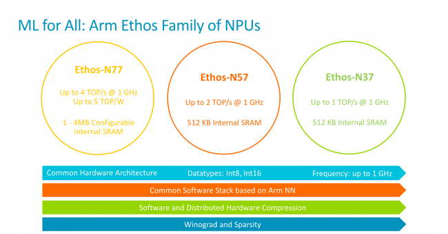 La famille Ethos chez ARM [cliquer pour agrandir]