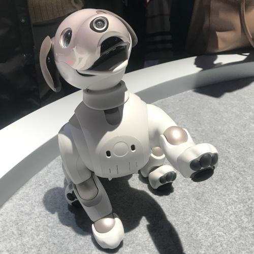 sony aibo 2019