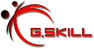 logo gskill