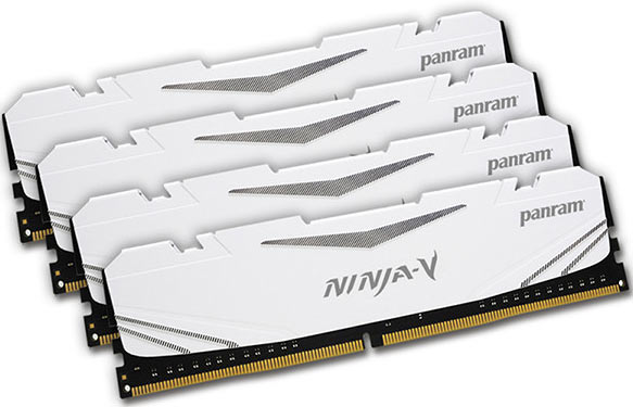 panram_ddr4_ninja_v.jpg