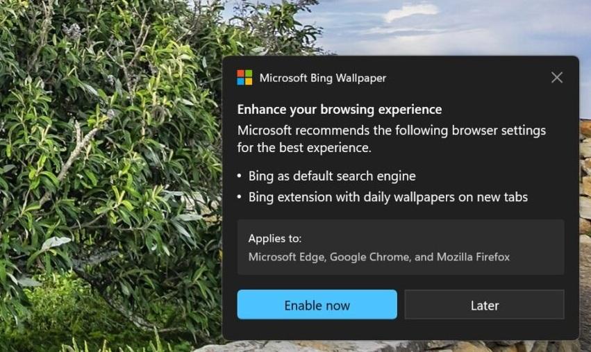 bing wallpaper app hijacking windows 11 web browsers