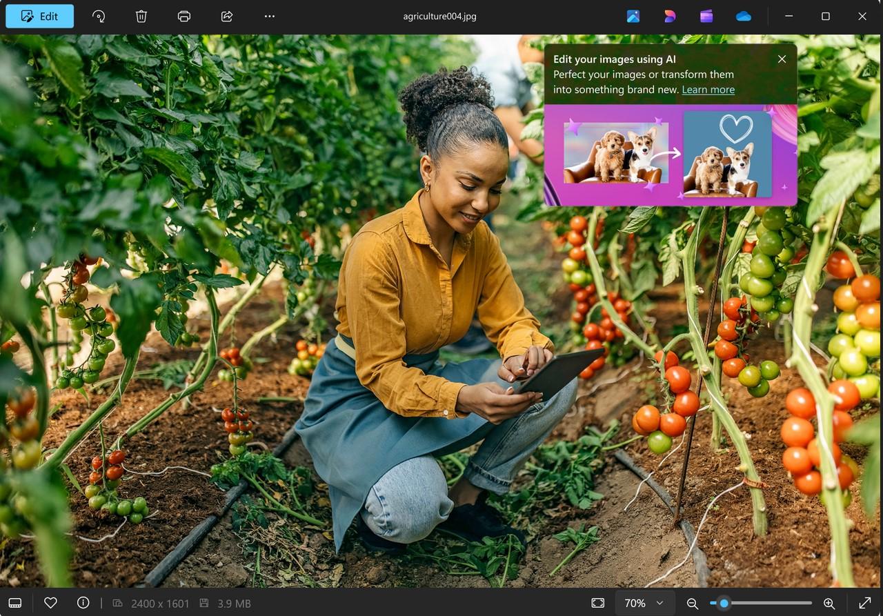 Photos intègre Microsoft Designer sous Windows 11, ou la retouche IA à portée de clic