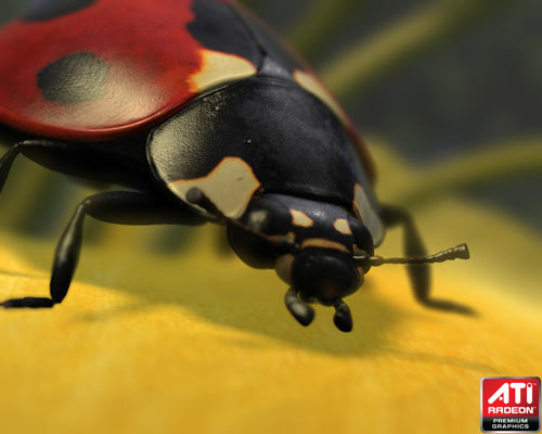 ladybug_dx11.jpg