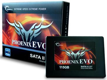 gskill_phoenix_evo_115go.jpg