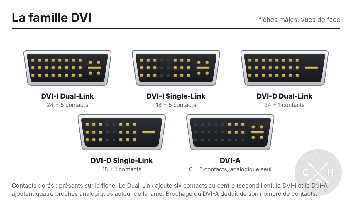 connecteur DVI famille
